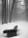 Bench & Fog