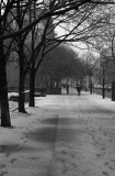 Snow #1 - Footprints