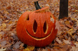 Pumpkin of the Haunted Forest