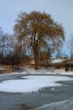 DSCF3899.jpg