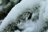 DSCF4111.jpg