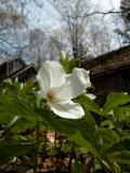 DSCN0435.jpg