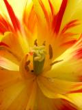 DSCN0531.jpg