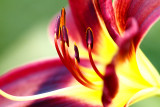 Sample_1