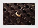 Just Grate