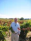 Ridge - Lytton Springs Vineyard