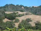 Sonoma