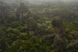 Stone Forest