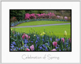 Brochure Celebration of Spring.jpg