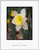 Brochure Lemon Center.jpg