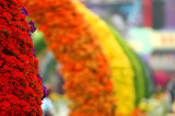 Hong Kong 香港 - 維多利亞公園 Victoria Park - 2008 Flower Fest