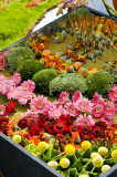 Hong Kong 香港 - 維園花展 Victoria Park Flower Fest