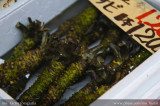 Tokyo 東京 - 築地 Tsukiji - 山葵 Wasabi
