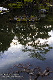 Kyoto 京都 - Kinkakuji 金閣寺