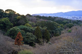 Kyoto 京都 - Kiyomizudera 清水寺