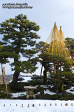 Kanazawa 金沢 - 兼六園