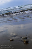 Hakui 羽咋 - 千里浜 beach driveway