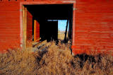 Through the Barn Door