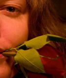 Happy Valentines Day