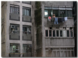 laundry - hong kong style