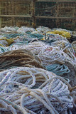 Ropes and lobster pots_MK8_6892.jpg