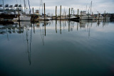 Sesuit_winter_reflection_M8K69621.jpg