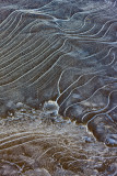 Provincetown Ice waves_M8K8621.jpg