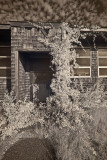 Truro_1030181.jpg