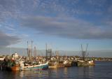 Provincetown Fleet