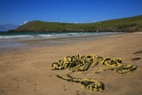 Rope on Tramore.jpg