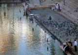 Pilgrims along the ghats, Pushkar.