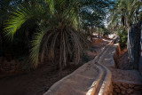 Ghardaa - Irrigation