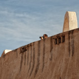 Ghardaa - Le photographe photographi