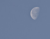 Yengui Gazgen - Moon at dawn