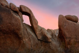 Joshua Tree NP