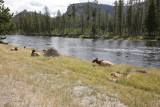Yellowstone Sept. 2008