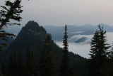 _MG_3979.JPG