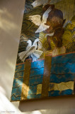 Doves