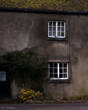 Bridge Cottage.