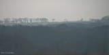  Misty view