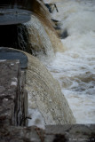 Looking over the weir