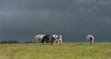 Rain on the way