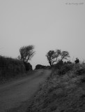 The way of the prevailing wind