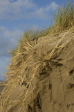 Dunes