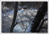 Cold Creek018 copy.jpg
