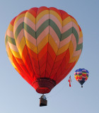 Floating Pair_3484.jpg