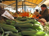 Zucchini in Venice.jpg