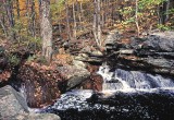 Leominster stream in the fall