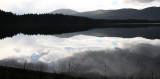 Loch Garten Landscape.jpg