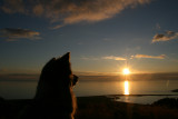 As the sun sets.....